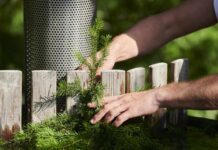 Jak skonstruować drewniany płotek do Twojego ogrodu